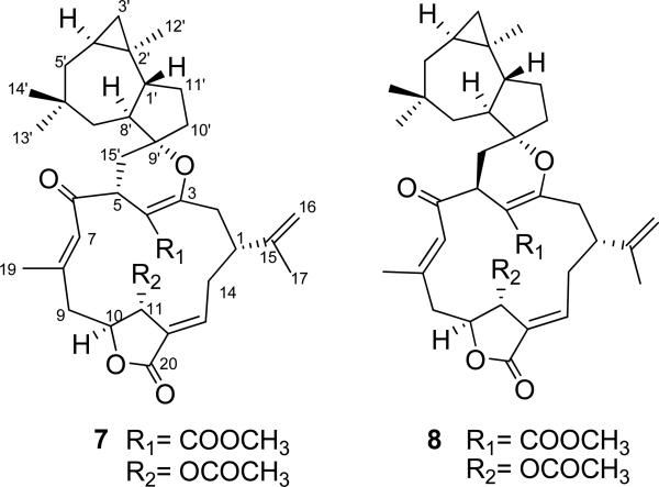 Fig. (22)