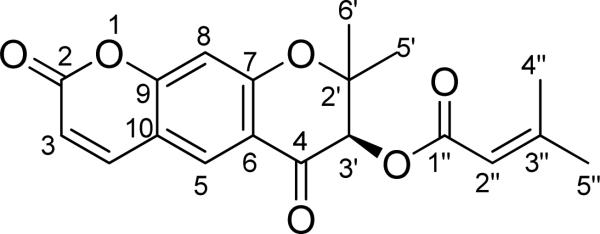 Fig. (24)