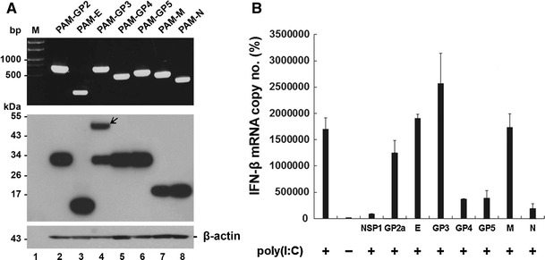 Fig. 2