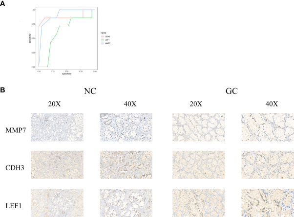 Figure 12