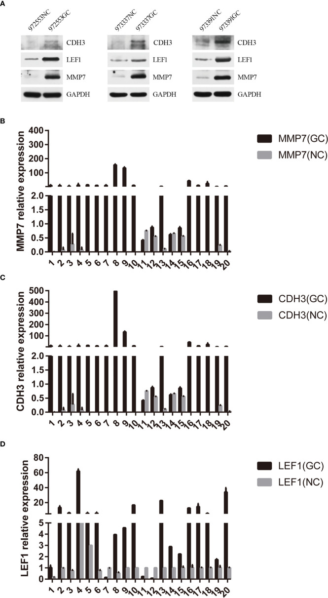 Figure 11