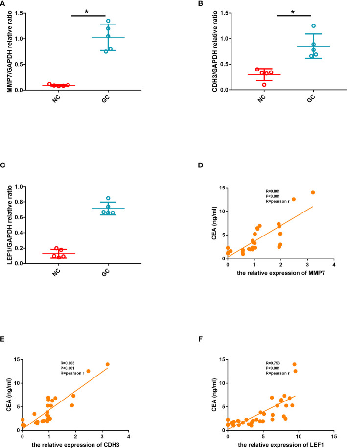 Figure 13