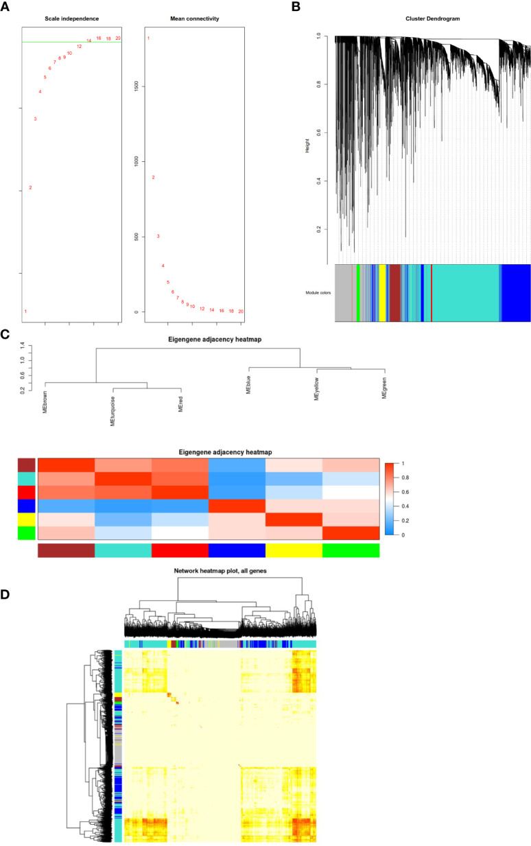 Figure 4