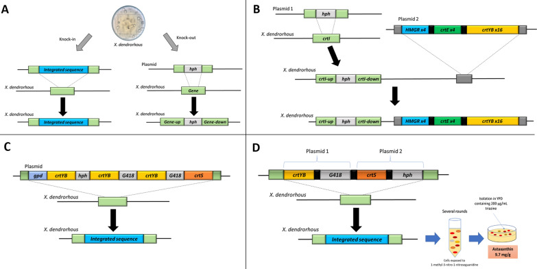 Fig. 2