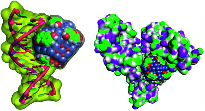 graphic file with name c9ra02412c-ga.jpg