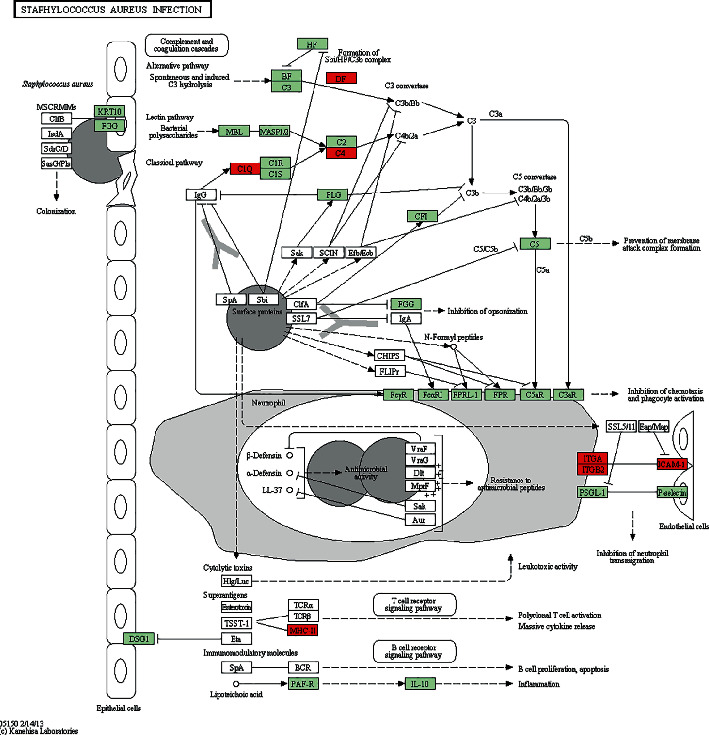 Figure 10