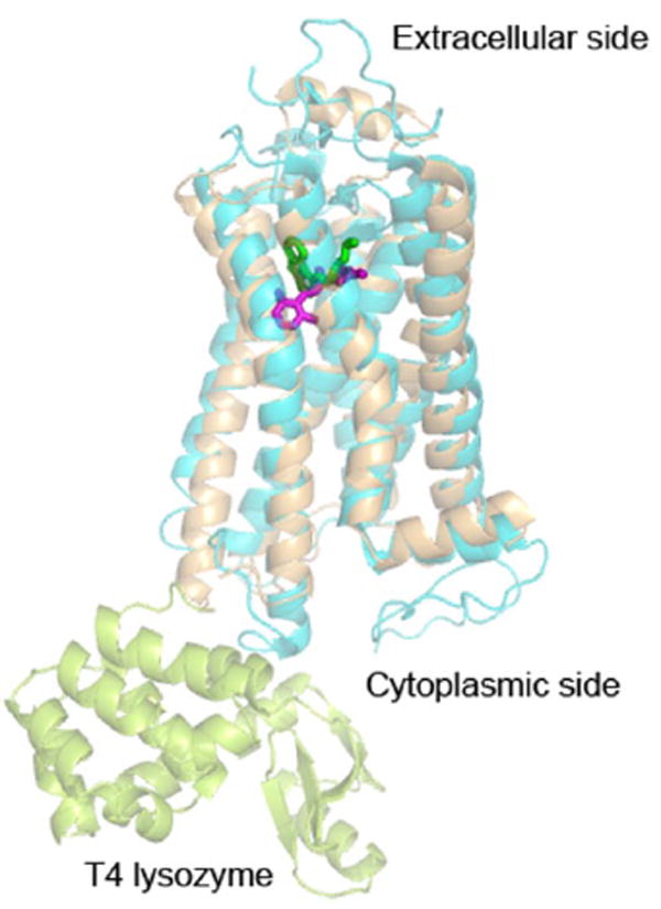 Fig. 20