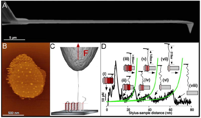 Fig. 11