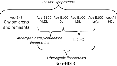 FIGURE 1.