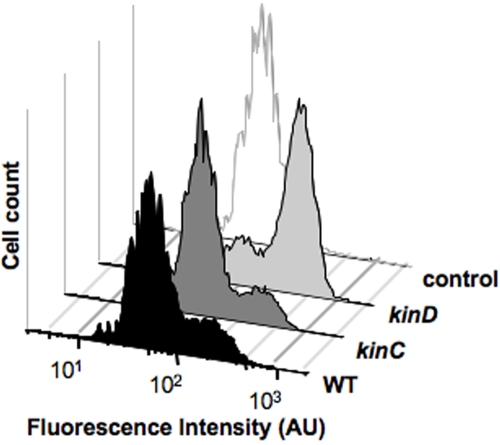 FIG 4 