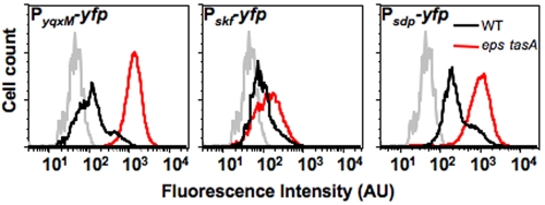 FIG 3 