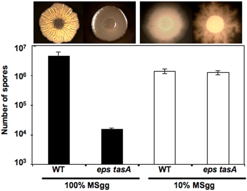 FIG 2 