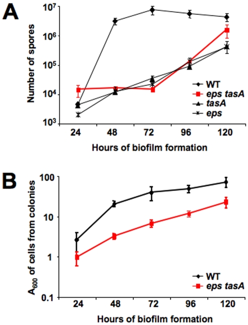 FIG 1 