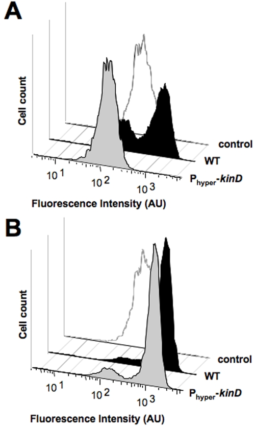 FIG 6 