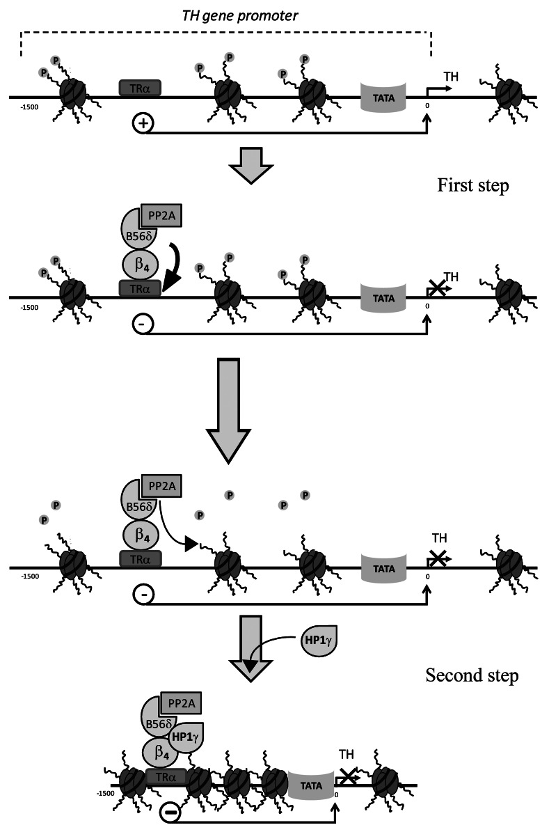 Figure 3. 