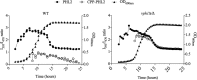 FIG 3