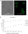 FIG 2