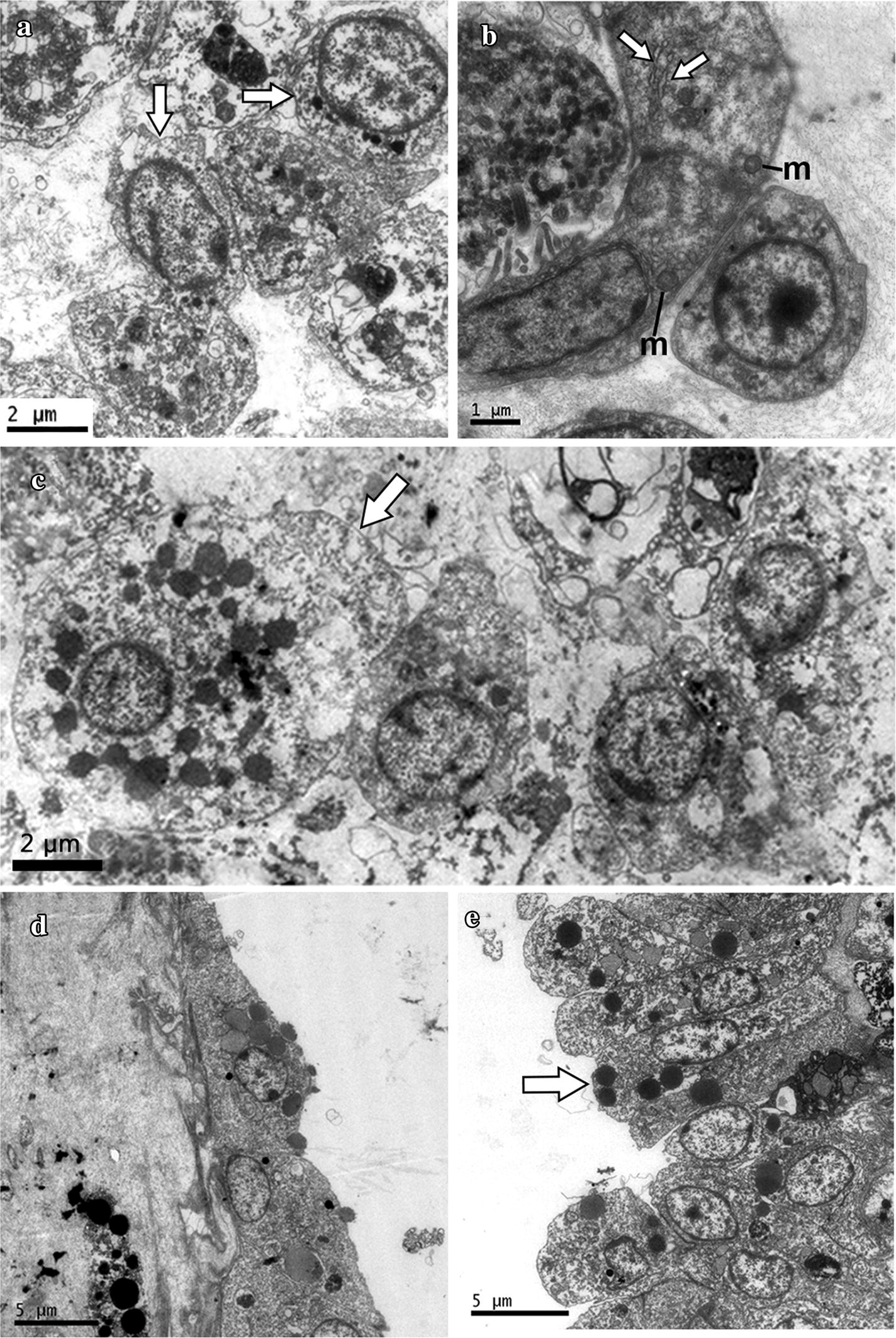 Fig. 5
