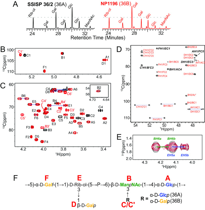 FIG 2