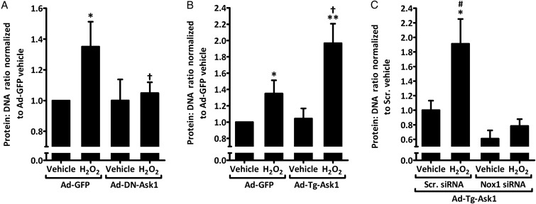 Figure 6