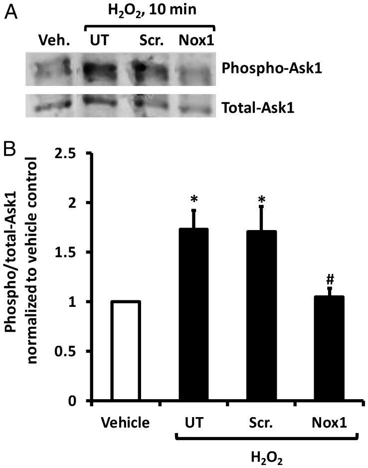 Figure 4