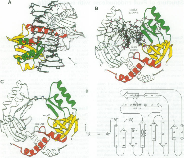 graphic file with name emboj00065-0010-a.jpg