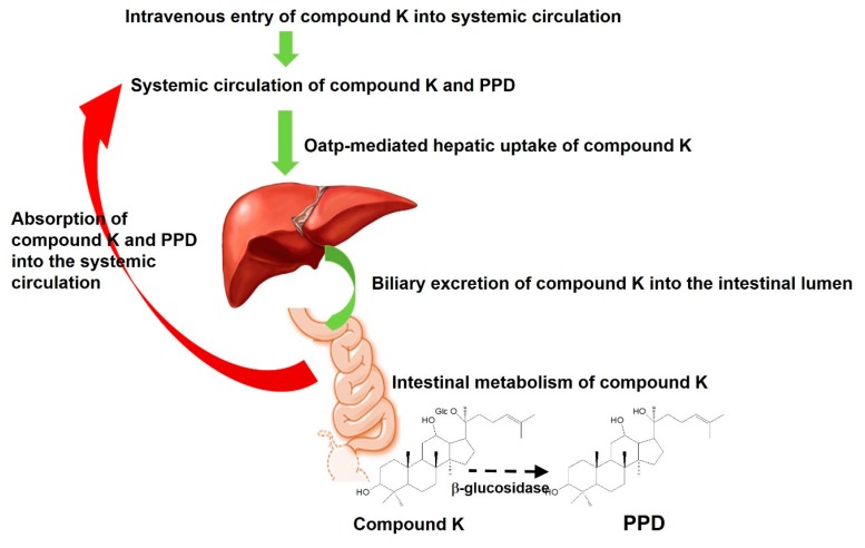 Figure 10