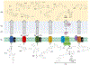 Figure 5: