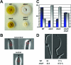 FIG. 4.