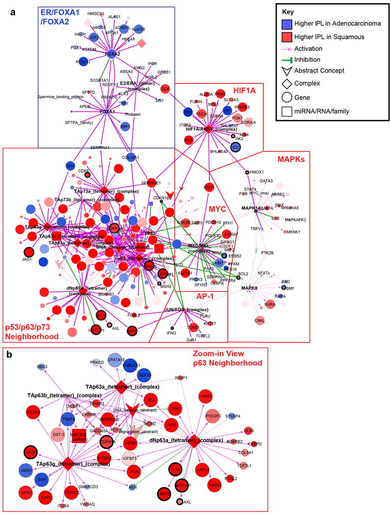 Extended Data Figure 10