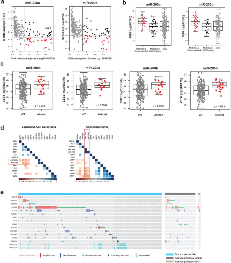 Extended Data Figure 9