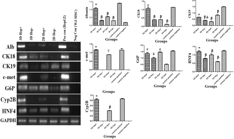 Fig. 6