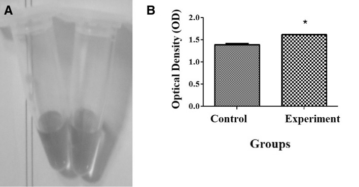 Fig. 2