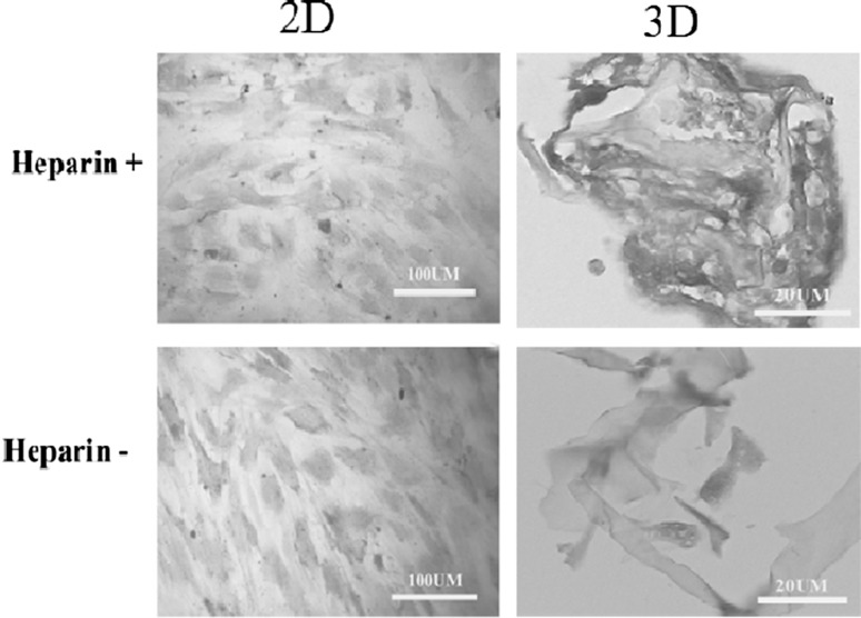 Fig. 7