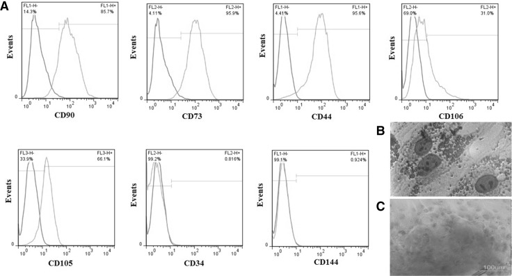 Fig. 4