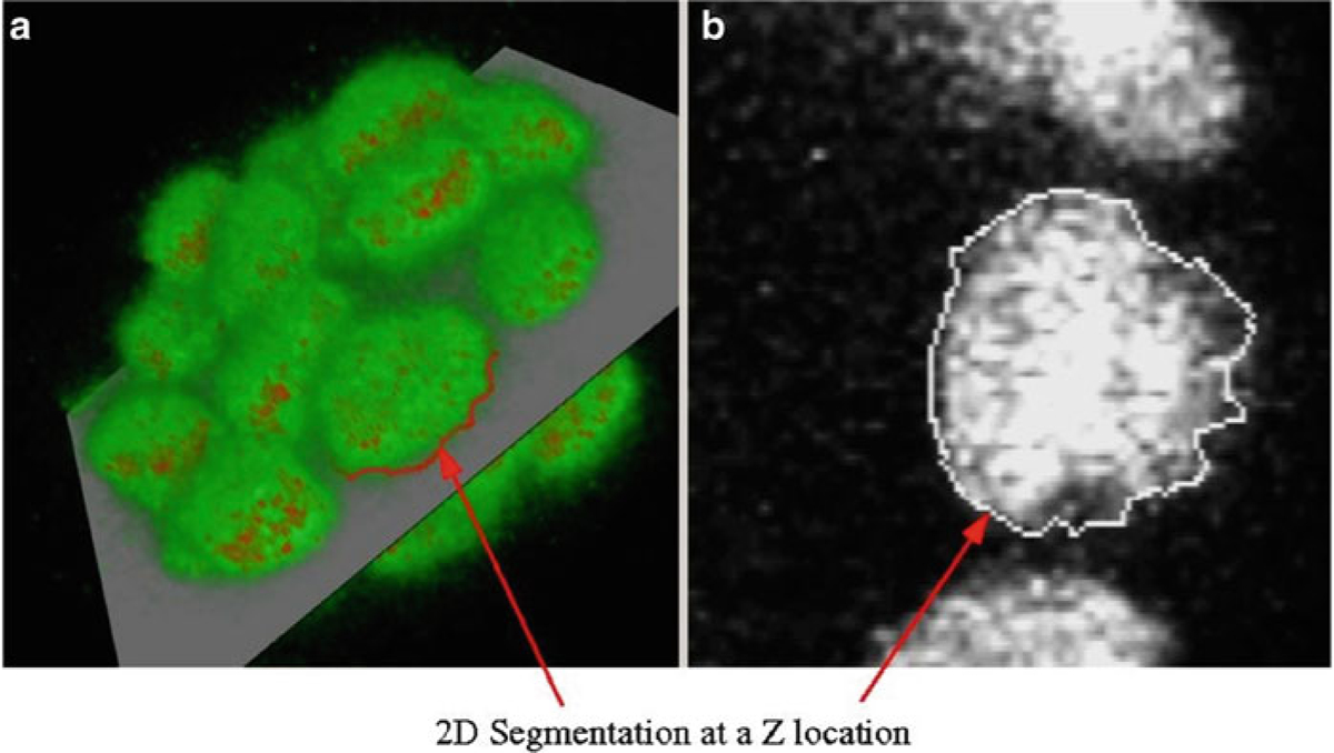 Fig. 9