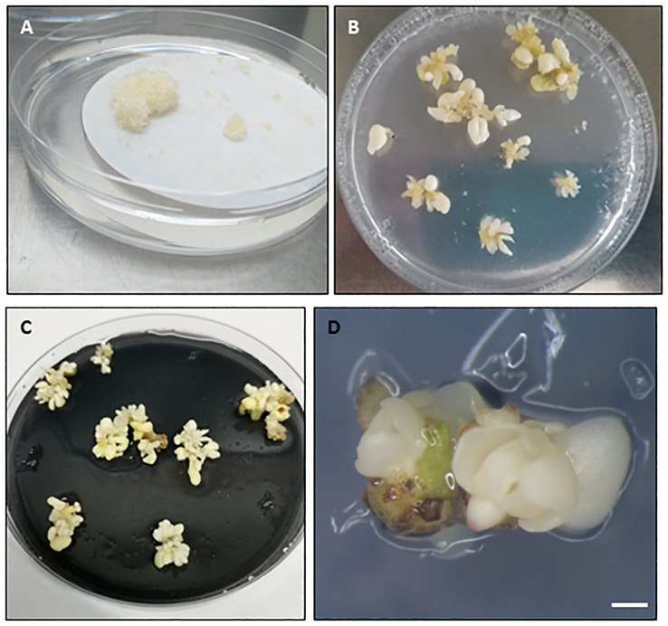 Figure 3