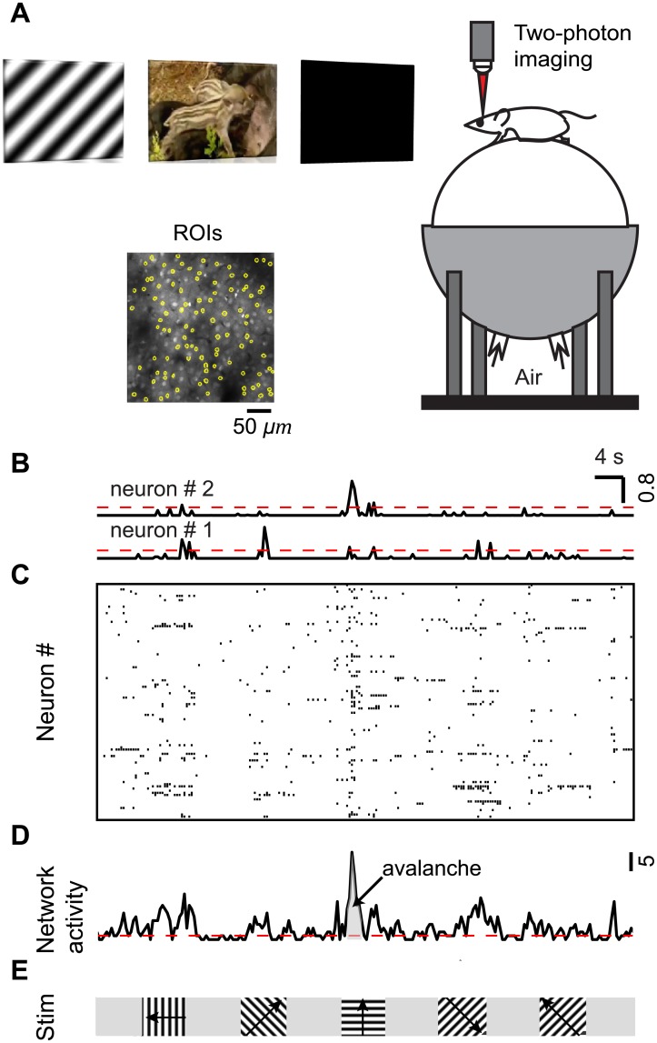 Fig 2