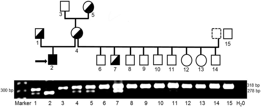 Figure 8.