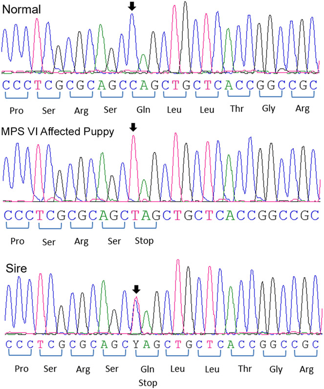 Figure 7.