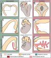 Fig. 3