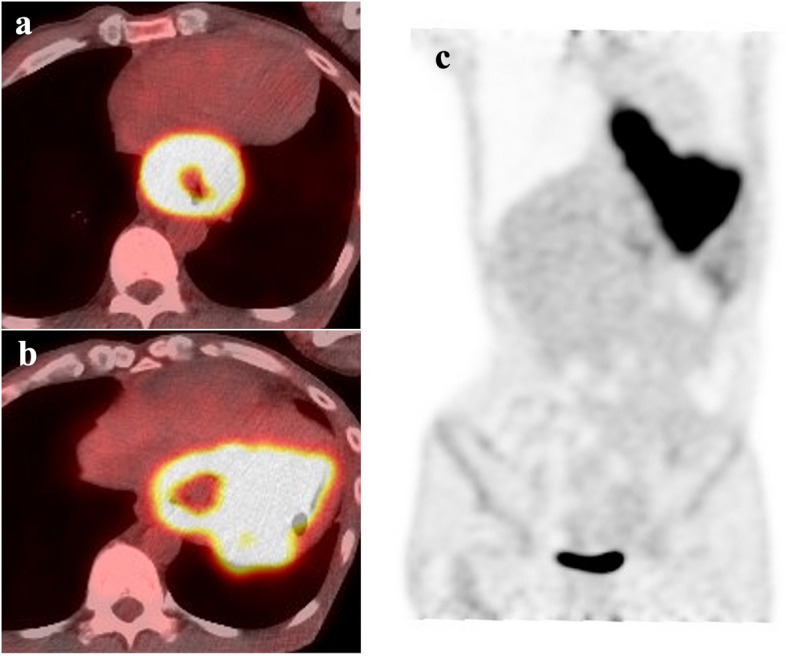 Fig. 3