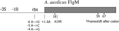 FIG. 6.