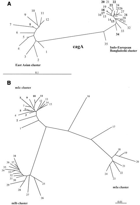 FIG. 2.