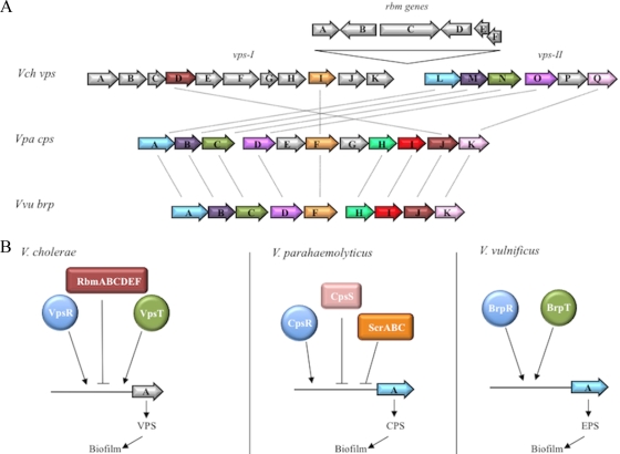 FIG. 10.