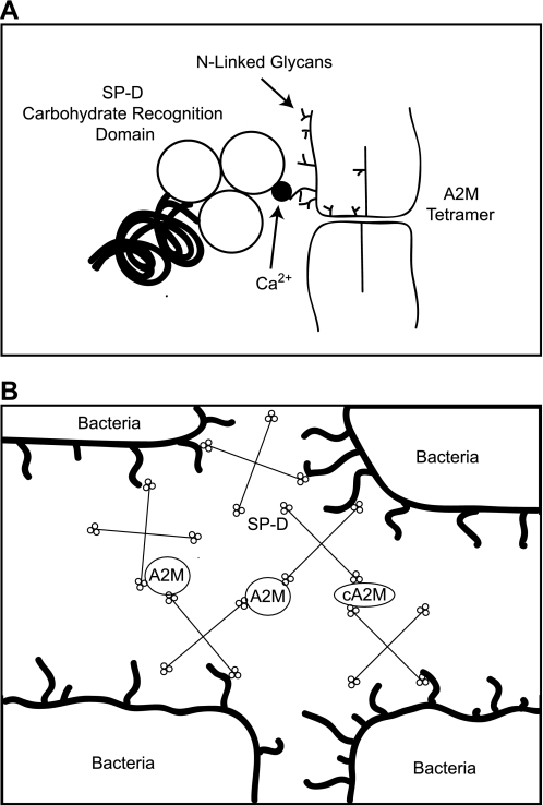 FIGURE 10.