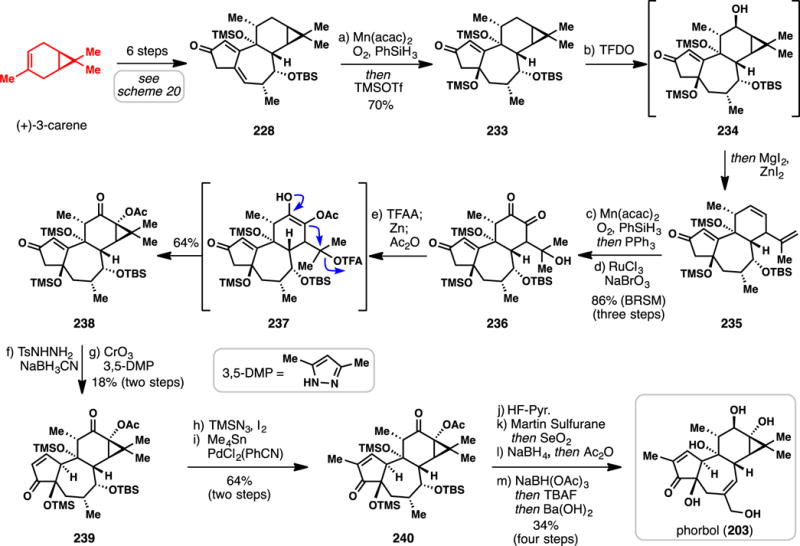 Scheme 21