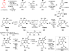 Scheme 23