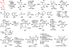 Scheme 22
