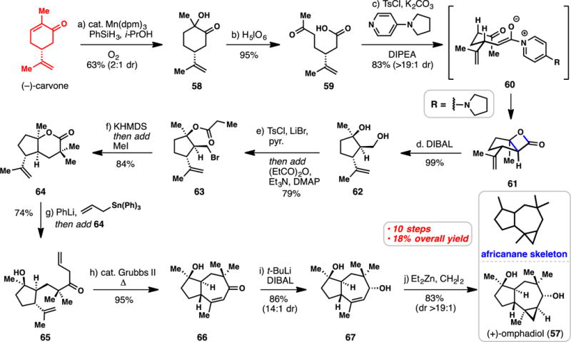 Scheme 5